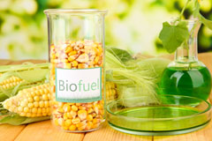 Dundee biofuel availability